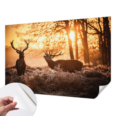 Selbstklebende Fototapete für die Wand mit dem Motiv „Rehe am Morgen“