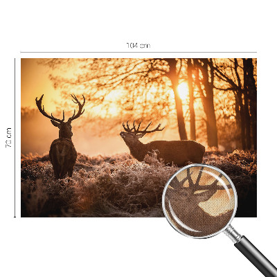 Selbstklebende Fototapete für die Wand mit dem Motiv „Rehe am Morgen“