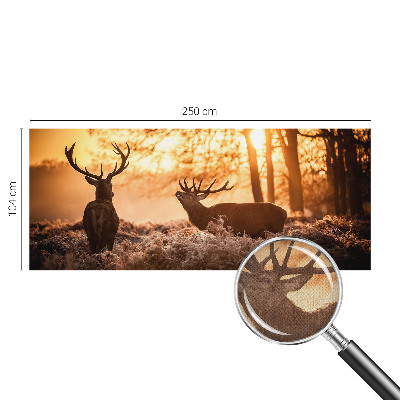 Selbstklebende Fototapete für die Wand mit dem Motiv „Rehe am Morgen“