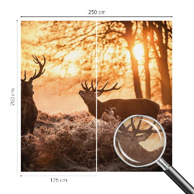 Selbstklebende Fototapete für die Wand mit dem Motiv „Rehe am Morgen“