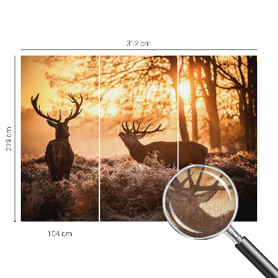 Selbstklebende Fototapete für die Wand mit dem Motiv „Rehe am Morgen“