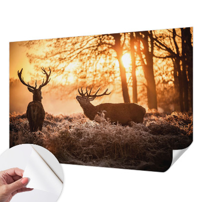 Selbstklebende Fototapete für die Wand mit dem Motiv „Rehe am Morgen“