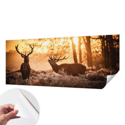 Selbstklebende Fototapete für die Wand mit dem Motiv „Rehe am Morgen“