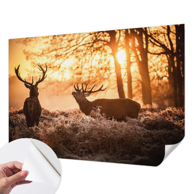 Selbstklebende Fototapete für die Wand mit dem Motiv „Rehe am Morgen“
