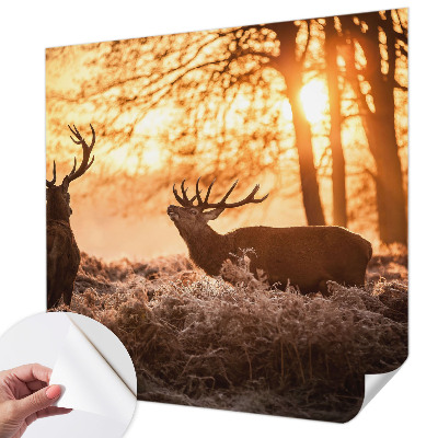 Selbstklebende Fototapete für die Wand mit dem Motiv „Rehe am Morgen“