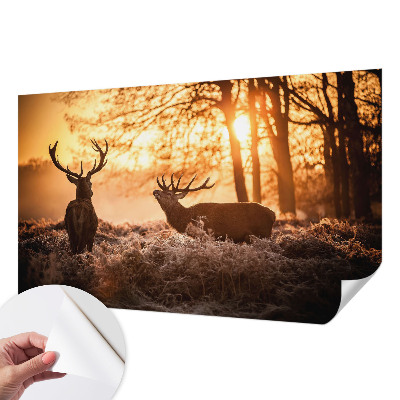 Selbstklebende Fototapete für die Wand mit dem Motiv „Rehe am Morgen“