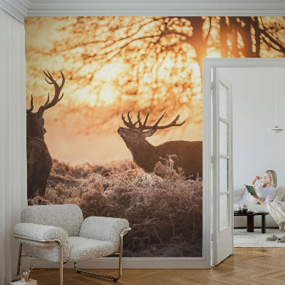 Selbstklebende Fototapete für die Wand mit dem Motiv „Rehe am Morgen“