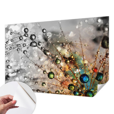 Fototapete nach Maß Ich Taujuwelen