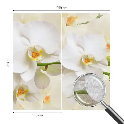 Moderne Fototapete nach Maß mit blühendem Motiv