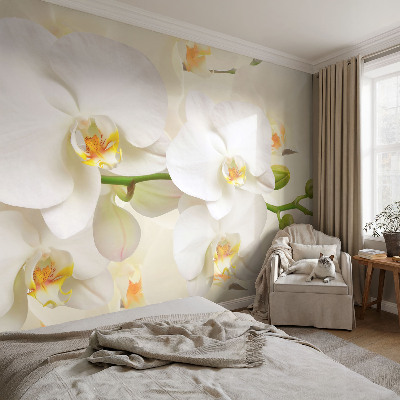 Moderne Fototapete nach Maß Blütenreichtum