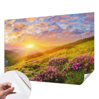Selbstklebende Fototapete fürs Wohnzimmer mit Motiv 'Bergwesten' für einfache Anbringung