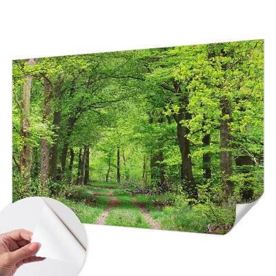 Selbstklebende Fototapete fürs Schlafzimmer mit Motiv eines Waldwegs