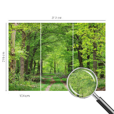 Selbstklebende Fototapete fürs Schlafzimmer mit Motiv eines Waldwegs
