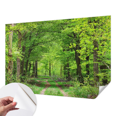Selbstklebende Fototapete fürs Schlafzimmer mit Motiv eines Waldwegs
