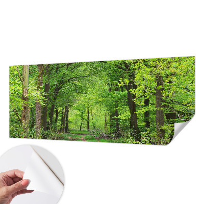 Selbstklebende Fototapete fürs Schlafzimmer mit Motiv eines Waldwegs