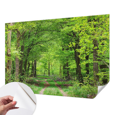 Selbstklebende Fototapete fürs Schlafzimmer mit Motiv eines Waldwegs