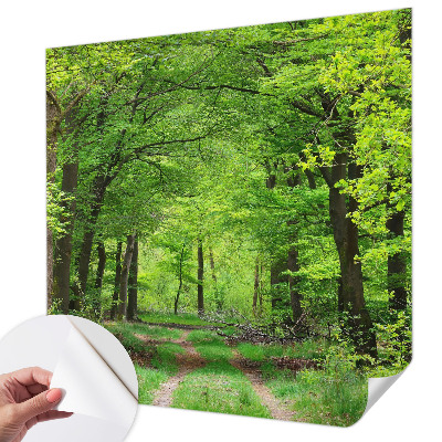Selbstklebende Fototapete fürs Schlafzimmer mit Motiv eines Waldwegs