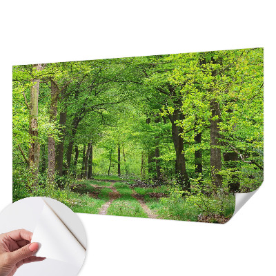 Selbstklebende Fototapete fürs Schlafzimmer mit Motiv eines Waldwegs