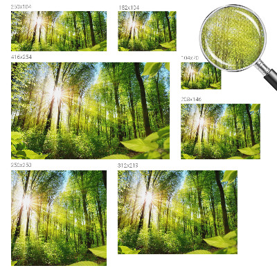 Selbstklebende Fototapete fürs Kinderzimmer mit Waldlicht-Motiv