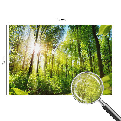 Selbstklebende Fototapete fürs Kinderzimmer mit Waldlicht-Motiv
