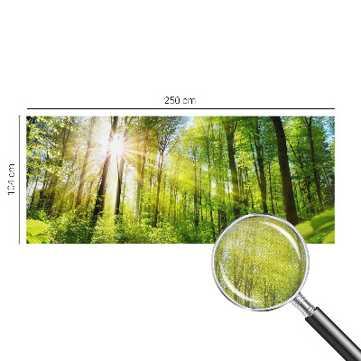 Selbstklebende Fototapete fürs Kinderzimmer Waldlicht