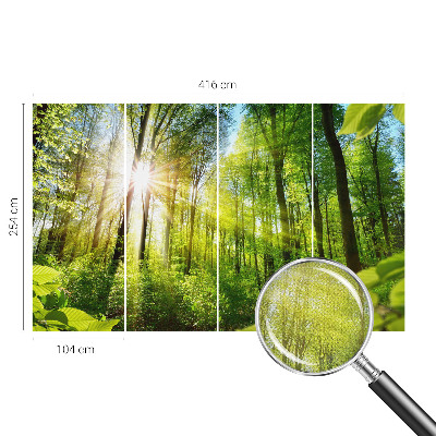 Selbstklebende Fototapete fürs Kinderzimmer mit Waldlicht-Motiv