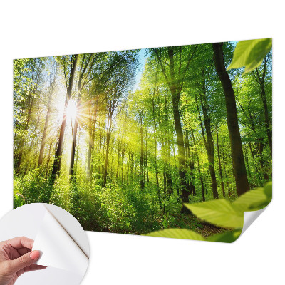 Selbstklebende Fototapete fürs Kinderzimmer mit Waldlicht-Motiv