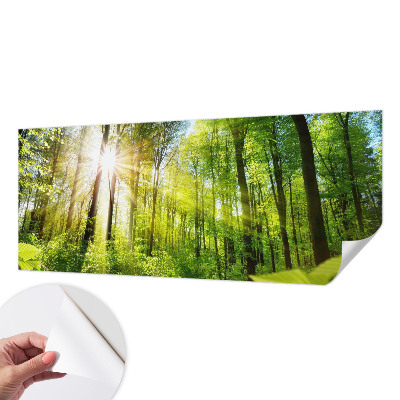 Selbstklebende Fototapete fürs Kinderzimmer mit Waldlicht-Motiv