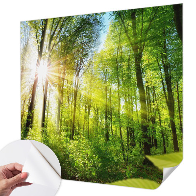 Selbstklebende Fototapete fürs Kinderzimmer mit Waldlicht-Motiv