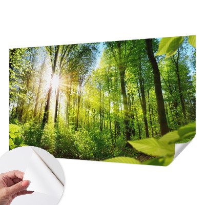 Selbstklebende Fototapete fürs Kinderzimmer mit Waldlicht-Motiv