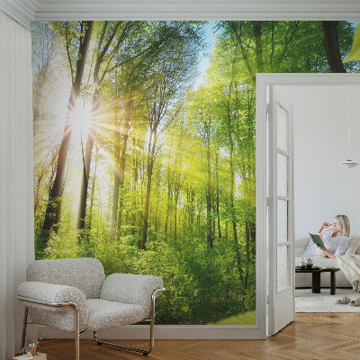 Selbstklebende Fototapete fürs Kinderzimmer mit Waldlicht-Motiv