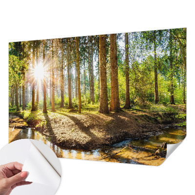 Fototapete in 3D-Optik mit Waldidylle-Motiv