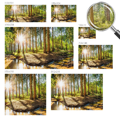 Fototapete in 3D-Optik mit Waldidylle-Motiv