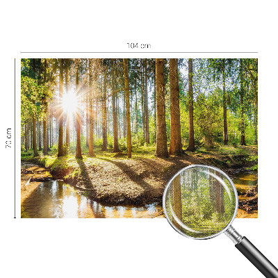 Fototapete in 3D-Optik mit Waldidylle-Motiv