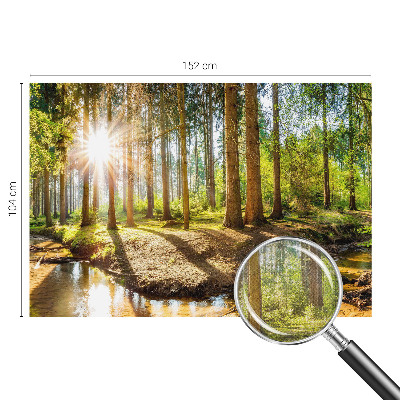 Fototapete in 3D-Optik mit Waldidylle-Motiv