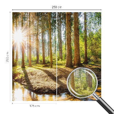 Fototapete in 3D-Optik mit Waldidylle-Motiv