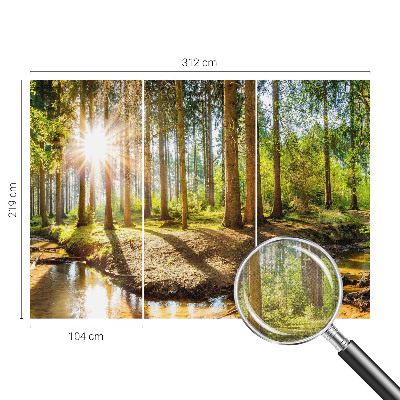 Fototapete in 3D-Optik mit Waldidylle-Motiv