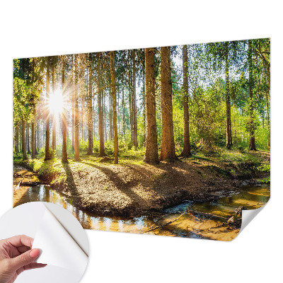 Fototapete in 3D-Optik mit Waldidylle-Motiv