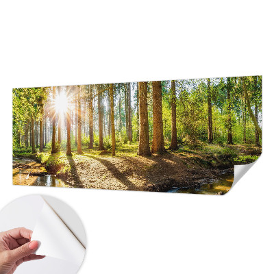 Fototapete in 3D-Optik mit Waldidylle-Motiv