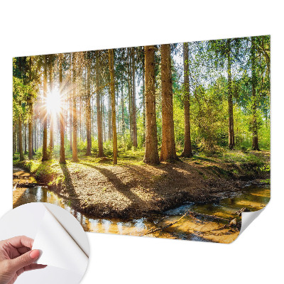 Fototapete in 3D-Optik mit Waldidylle-Motiv