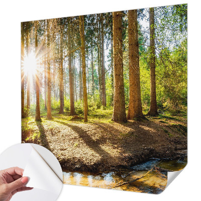 Fototapete in 3D-Optik mit Waldidylle-Motiv
