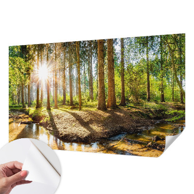 Fototapete in 3D-Optik mit Waldidylle-Motiv