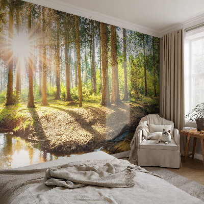 Fototapete in 3D-Optik Waldidylle