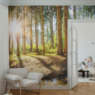 Fototapete in 3D-Optik mit Waldidylle-Motiv