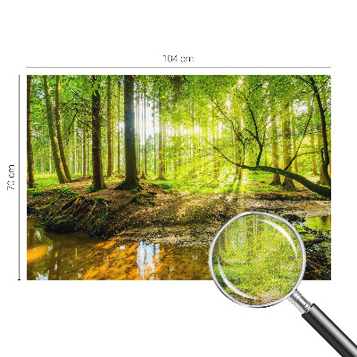 Hochwertige Bildtapete Grüne Landschaft