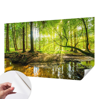 Hochwertige Bildtapete mit grünem Landschaftsmotiv