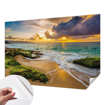 Vintage tapete Maritime Harmonie