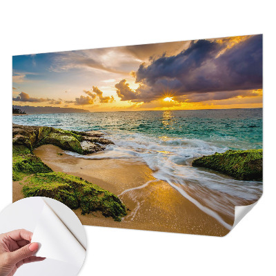 Vintage tapete Maritime Harmonie