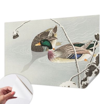 Motivtapete fürs Wohnzimmer Ruhige Enten