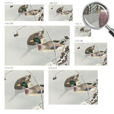 Motivtapete fürs Wohnzimmer Ruhige Enten